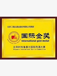 国际金奖证书